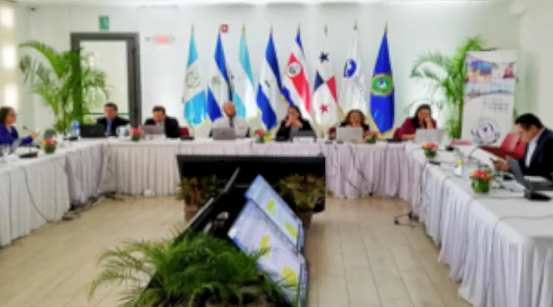 nicaragua, reunion, directores de integración, económica, comercio regional