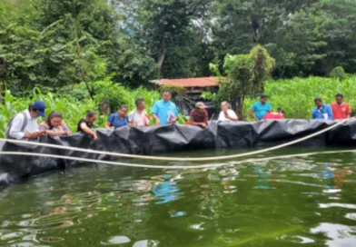 nicaragua, rivas, inpesca, cultivo de tilapia, rivas, tecnico, capacitacion