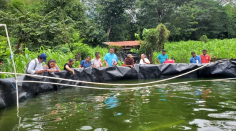 nicaragua, rivas, inpesca, cultivo de tilapia, rivas, tecnico, capacitacion