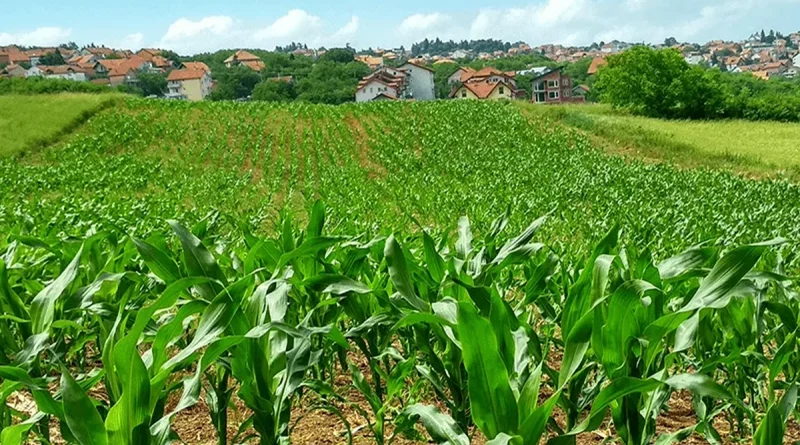 ipsa, nicaragua, alimentos nicaragua, inocuidad y seguridad nicaragua