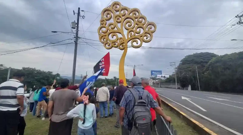 arbol de la vida, nejapa, paz, nicaragua, frente sandinista,