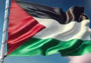 palestina, nicaragua, solidaridad,