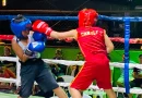 boxeo, matagalpa, nicaragua, campeonato futura promesas, deportes