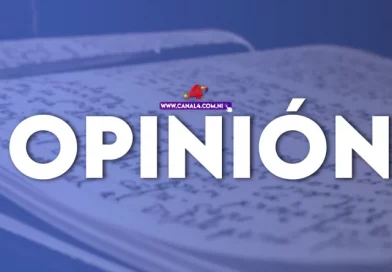 opinión, elecciones, estados unidosm, guerras, kamala harris, donald trump