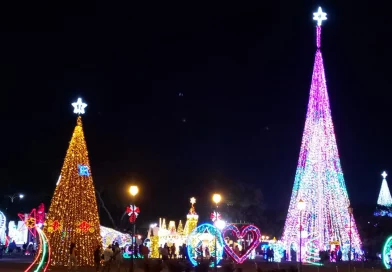 managua, navidad, nicaragua, paseo de los estudiantes, espiritu navideño, decoración,