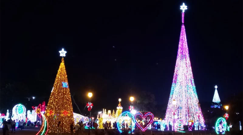 managua, navidad, nicaragua, paseo de los estudiantes, espiritu navideño, decoración,