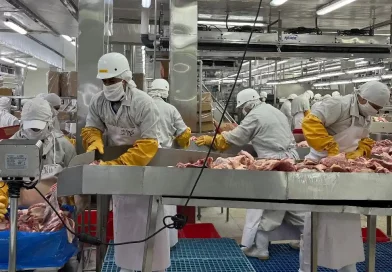 carne bovina nicaragua, producción de carne, exportación de carne, economía nicaragua, crecimiento 7.8%, industria cárnica, mataderos industriales, empleo nicaragua, sector agropecuario, ministerio agropecuario, centroamérica, calidad carne nicaragua, reses sacrificadas, políticas agropecuarias, sector agrícola, gobierno de nicaragua,