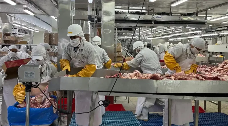 carne bovina nicaragua, producción de carne, exportación de carne, economía nicaragua, crecimiento 7.8%, industria cárnica, mataderos industriales, empleo nicaragua, sector agropecuario, ministerio agropecuario, centroamérica, calidad carne nicaragua, reses sacrificadas, políticas agropecuarias, sector agrícola, gobierno de nicaragua,