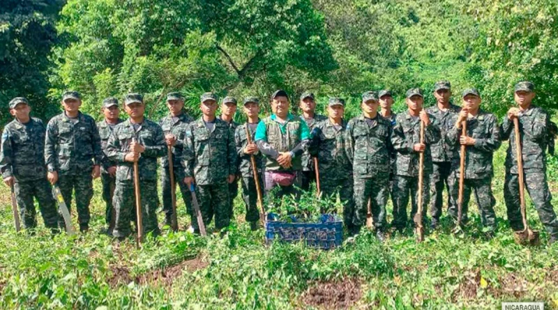 nicaragua, ejercito de nicaragua, marena, reforestacion, ambiental, jornada de reforestación