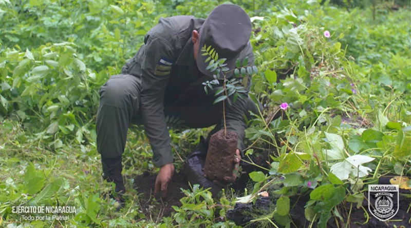 nicaragua, ejercito de nicaragua, laguna de nejapa, jornada de reforestacion,