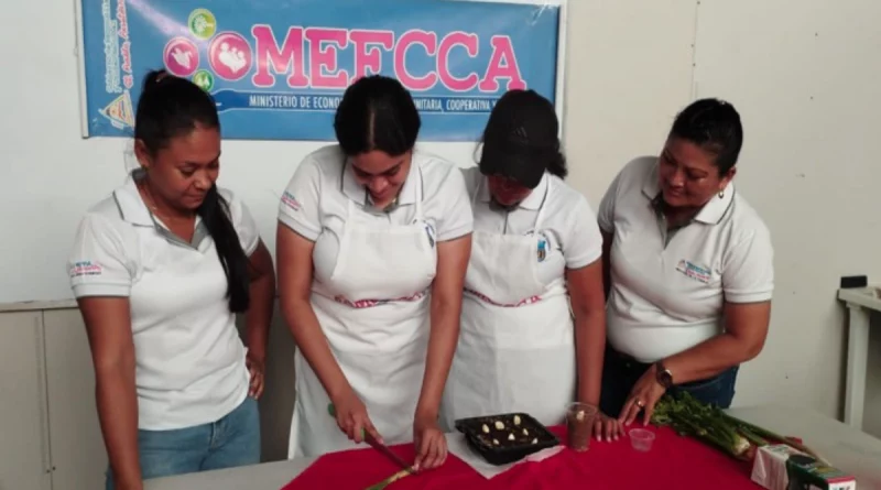 mefcaa, nicaragua, seguridad alimentaria, zonas urbanas, cultivos, talleres practicos,