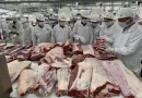 carne bovina, exportación, China, Nicaragua, comercio internacional, ipsa, demanda, fortalece, aumento,