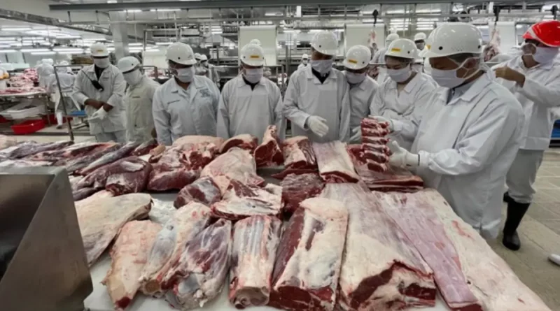 carne bovina, exportación, China, Nicaragua, comercio internacional, ipsa, demanda, fortalece, aumento,