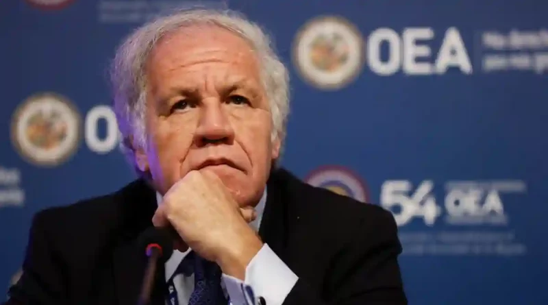 luis almagro, oea, nicaragua, corrupcion, golpe de estado, venezuela, cuba, politica, america latina, derechos humanos, opositores, daniel ortega, rosario murillo, pepe mujica, democracia, golpe en honduras, bolivia, venezuela, dialogo, politica exterior, estados unidos, intervencionismo.