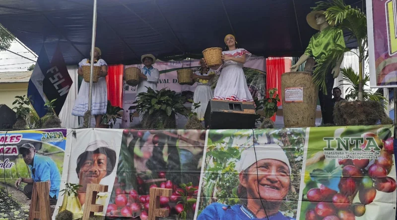 cafe, nueva segovia, ocotal, festival, nicaragua,