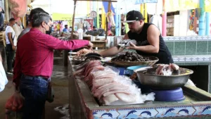 abastecimiento estable, nicaragüa, gobierno de Nicaragua, mercados de nicaragüa,