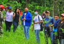 campaña nacional, reforestación, nicaragüa, gobierno de nicaragüa, reforestación, Nicaragua, movimiento ambientalista,