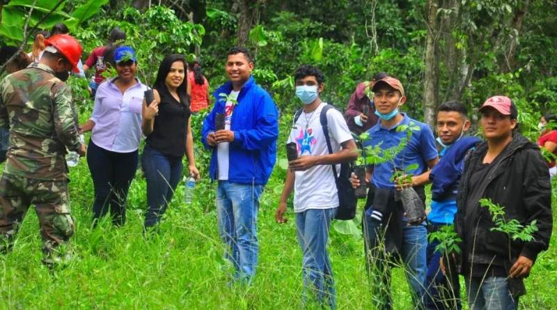 campaña nacional, reforestación, nicaragüa, gobierno de nicaragüa, reforestación, Nicaragua, movimiento ambientalista,