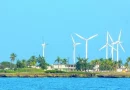 Cuba, aerogeneradores, parque eólico, construcción, transición energética, fuente renovable, generar electricidad,