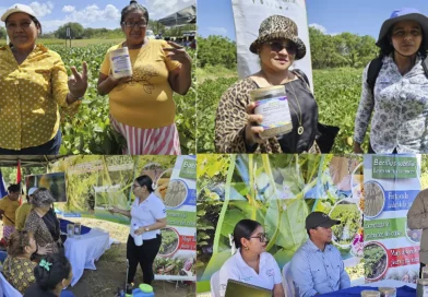 nicaragua, inta, producción, fertilización, soya, rendimientos