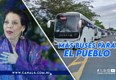 nicaragua, rosario murillo, buses, nuevo buses, buses chinos,