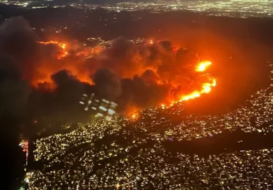 incendio, llamas, incendio forestal, Los Ángeles, estados Unidos, declaran, estado de emergencia, fuego,