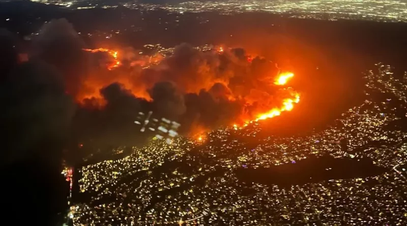 incendio, llamas, incendio forestal, Los Ángeles, estados Unidos, declaran, estado de emergencia, fuego,