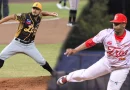 beisbol, Luis Ramírez, Dilmer Mejía, Tren del Norte, Leones, profesional, liga de beisbol, gran final, LBPN,