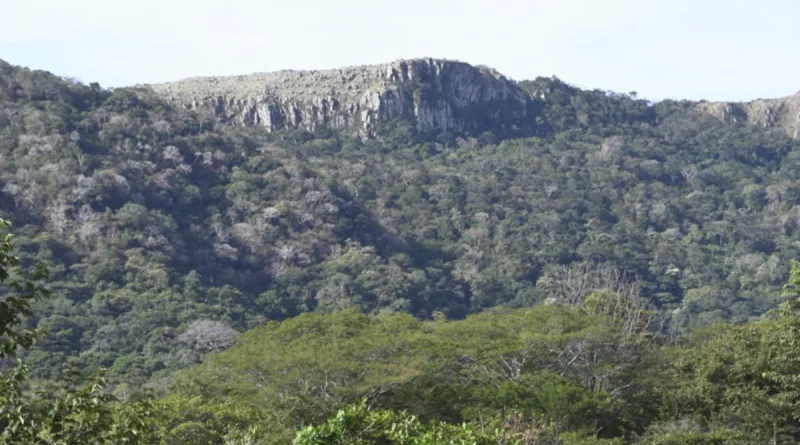 marena, chontales, juigalpa, nicaragua, conservacion, estacion biologica,