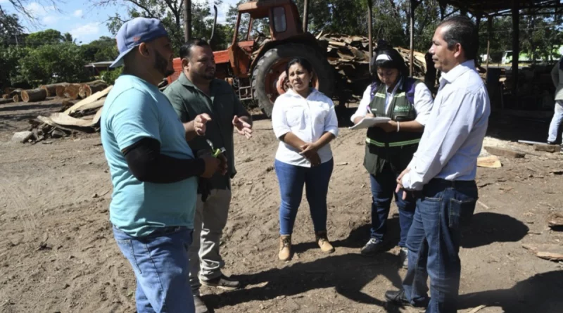 gobierno de nicaragua, marena, desarrollo forestal, nandaime, granada, industria forestal, procesadora de madera santa ana,