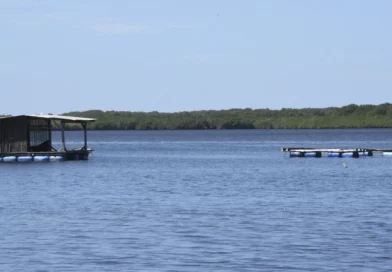 chinandega, nicaragua, marena, medioambiente, iniciativas sostenible, reserva natural estero padre ramos,