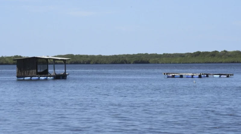 chinandega, nicaragua, marena, medioambiente, iniciativas sostenible, reserva natural estero padre ramos,