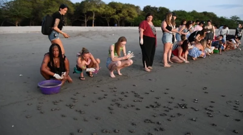 nicaragua, marena, ejercito de nicaragua, turistas, playa la flor, tortuguillos