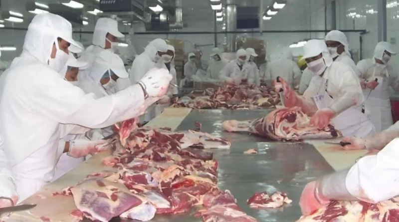 nicaragua, producción, exportación, nicaragüa, gobierno de nicaragüa, exportación bovina, carne bovina, ipsa,