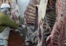 Nicaragua, carne bovina, producción de consumo, crecimiento económico