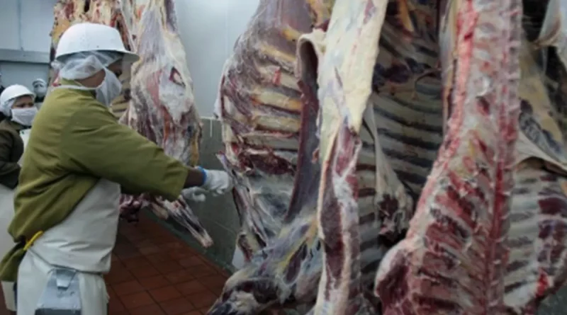 Nicaragua, carne bovina, producción de consumo, crecimiento económico