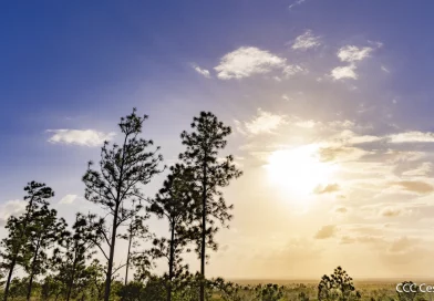 clima, ineter, vientos, ambiente calido, nicaragua, fafagas,