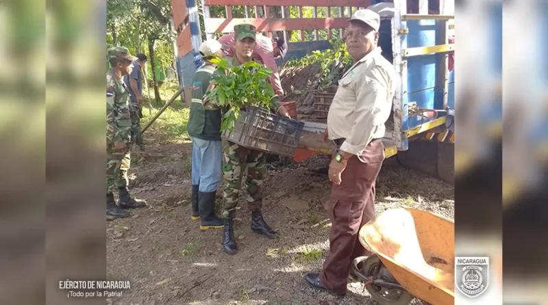 plantas, Ejército de Nicaragua, descargue, El Almendro, Río San Juan, traslado, vivero,