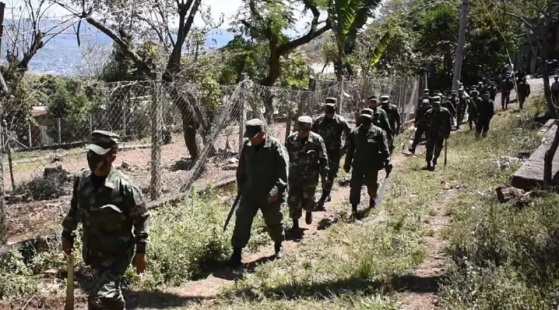 Ejército de Nicaragua, caminata de adiestramiento, Mateare, informa, realizará, Península de Chiltepe,