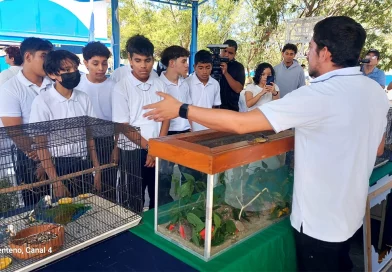 animales exoticos, federacion de estudiantes de segundaria, movimiento ambientalista guardabarranco, valor ecológico, colegio otto de la rocha,