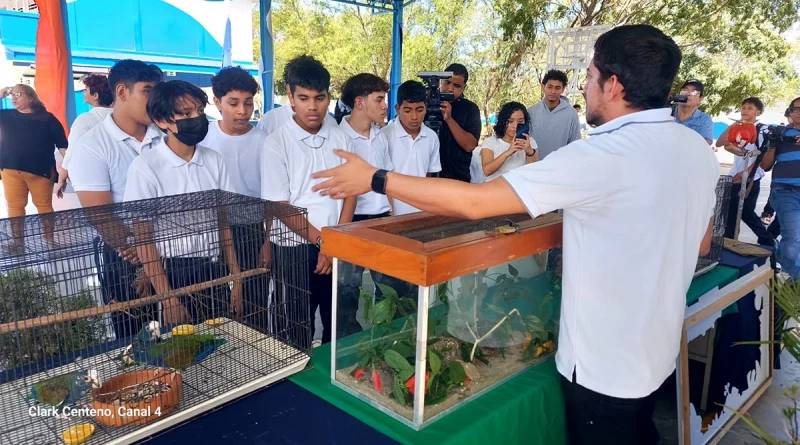 animales exoticos, federacion de estudiantes de segundaria, movimiento ambientalista guardabarranco, valor ecológico, colegio otto de la rocha,