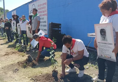 Juventud Sandinistas, juventud, Managua, siembra de árboles, homenaje ecológico, gesta heroica, San José de las Mulas,