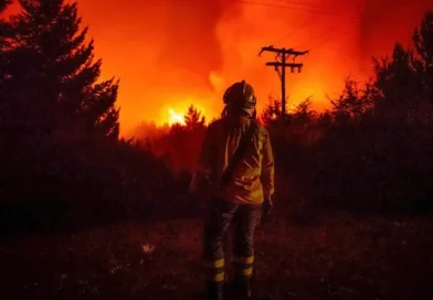 Argentina, incendio forestales, arrasa, devastación, Patagonia argentina,