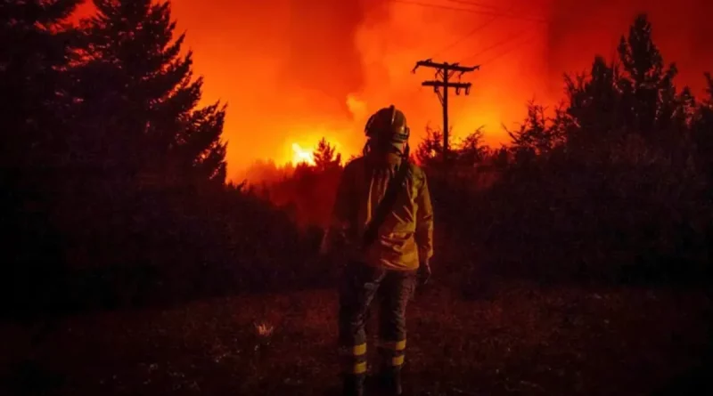 Argentina, incendio forestales, arrasa, devastación, Patagonia argentina,