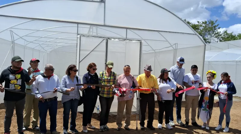 inauguración, sede regional, Don Orlando, Universidad Nacional Agraria, Masaya, NIquinohomo, UNA,