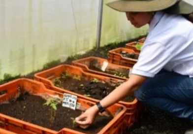 MARENA, nicragua, banco de semillas, Nicaragua, gobierno de Nicaragua, sector forestal,