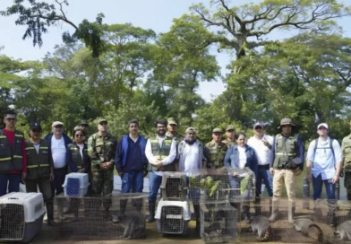 marena, nicaragua, rio san juan, fauna, zoologico nacional,