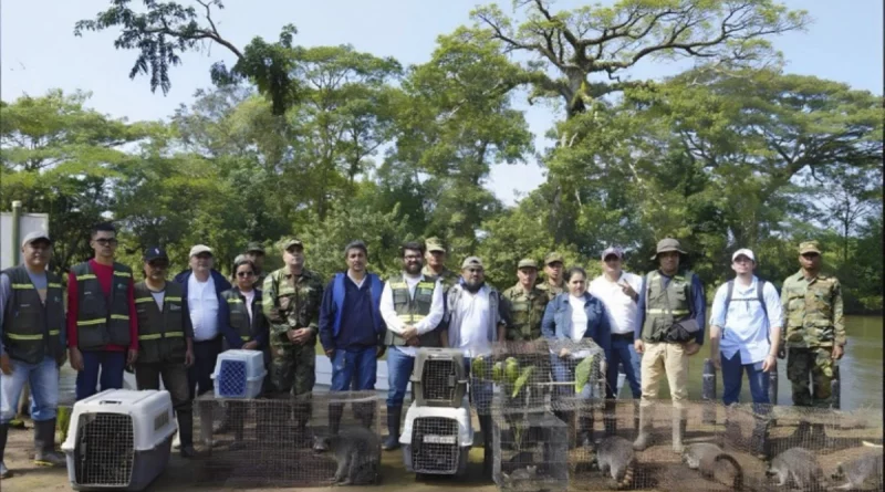 marena, nicaragua, rio san juan, fauna, zoologico nacional,