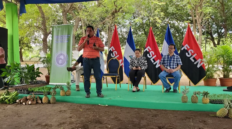 nicaragua, inatec, productores, educación tecnica, campo, inatec, universidad agraria