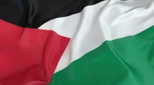 palestina, paz, onu, internacionales, rechazo, pueblo, gaza,